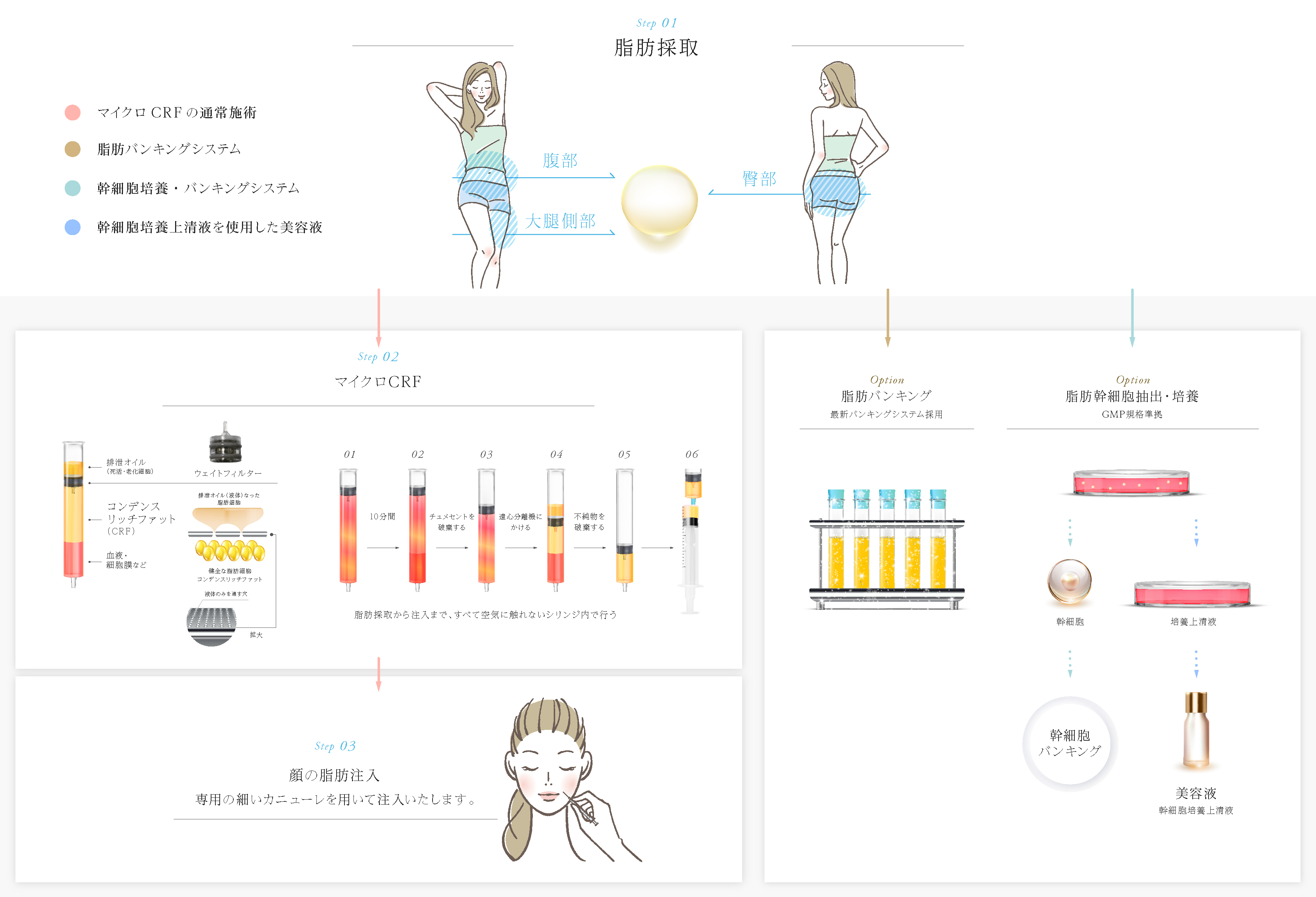 図：幹細胞培養・バンキング